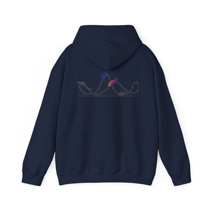 Emotional Roller Coaster Hoodie
