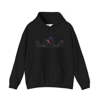 Emotional Roller Coaster Hoodie
